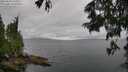 ./images/koeye/fitz-hugh/20250626/fitz-hugh20250626_121008M.jpg