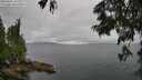 ./images/koeye/fitz-hugh/20250626/fitz-hugh20250626_121510M.jpg