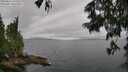 ./images/koeye/fitz-hugh/20250626/fitz-hugh20250626_122510M.jpg