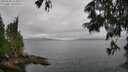 ./images/koeye/fitz-hugh/20250626/fitz-hugh20250626_123508M.jpg