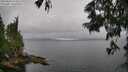 ./images/koeye/fitz-hugh/20250626/fitz-hugh20250626_124508M.jpg