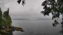 ./images/koeye/fitz-hugh/20250626/fitz-hugh20250626_125010M.jpg