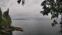 ./images/koeye/fitz-hugh/20250626/fitz-hugh20250626_125510M.jpg