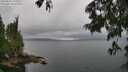 ./images/koeye/fitz-hugh/20250626/fitz-hugh20250626_130510M.jpg