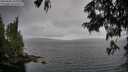 ./images/koeye/fitz-hugh/20250626/fitz-hugh20250626_133011M.jpg