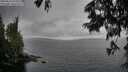 ./images/koeye/fitz-hugh/20250626/fitz-hugh20250626_133510M.jpg