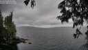 ./images/koeye/fitz-hugh/20250626/fitz-hugh20250626_134011M.jpg
