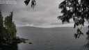 ./images/koeye/fitz-hugh/20250626/fitz-hugh20250626_134508M.jpg