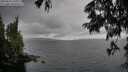 ./images/koeye/fitz-hugh/20250626/fitz-hugh20250626_135010M.jpg
