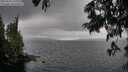 ./images/koeye/fitz-hugh/20250626/fitz-hugh20250626_140011M.jpg
