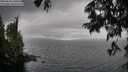 ./images/koeye/fitz-hugh/20250626/fitz-hugh20250626_140509M.jpg
