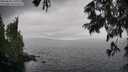 ./images/koeye/fitz-hugh/20250626/fitz-hugh20250626_141010M.jpg