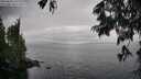 ./images/koeye/fitz-hugh/20250626/fitz-hugh20250626_141511M.jpg