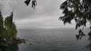 ./images/koeye/fitz-hugh/20250626/fitz-hugh20250626_142509M.jpg
