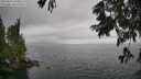 ./images/koeye/fitz-hugh/20250626/fitz-hugh20250626_143509M.jpg