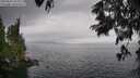 ./images/koeye/fitz-hugh/20250626/fitz-hugh20250626_144010M.jpg