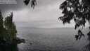 ./images/koeye/fitz-hugh/20250626/fitz-hugh20250626_144511M.jpg