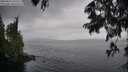 ./images/koeye/fitz-hugh/20250626/fitz-hugh20250626_145508M.jpg