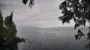 ./images/koeye/fitz-hugh/20250626/fitz-hugh20250626_150510M.jpg