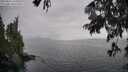 ./images/koeye/fitz-hugh/20250626/fitz-hugh20250626_151010M.jpg