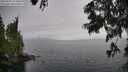 ./images/koeye/fitz-hugh/20250626/fitz-hugh20250626_152011M.jpg