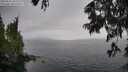 ./images/koeye/fitz-hugh/20250626/fitz-hugh20250626_152509M.jpg