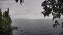 ./images/koeye/fitz-hugh/20250626/fitz-hugh20250626_153510M.jpg