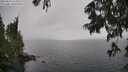 ./images/koeye/fitz-hugh/20250626/fitz-hugh20250626_154008M.jpg