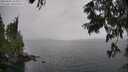 ./images/koeye/fitz-hugh/20250626/fitz-hugh20250626_154510M.jpg