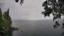 ./images/koeye/fitz-hugh/20250626/fitz-hugh20250626_155509M.jpg