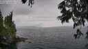 ./images/koeye/fitz-hugh/20250626/fitz-hugh20250626_161510M.jpg