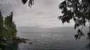 ./images/koeye/fitz-hugh/20250626/fitz-hugh20250626_162510M.jpg