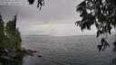 ./images/koeye/fitz-hugh/20250626/fitz-hugh20250626_163011M.jpg