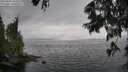 ./images/koeye/fitz-hugh/20250626/fitz-hugh20250626_163509M.jpg
