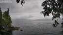 ./images/koeye/fitz-hugh/20250626/fitz-hugh20250626_164508M.jpg