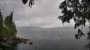 ./images/koeye/fitz-hugh/20250626/fitz-hugh20250626_165010M.jpg