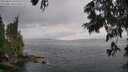 ./images/koeye/fitz-hugh/20250626/fitz-hugh20250626_165509M.jpg