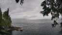 ./images/koeye/fitz-hugh/20250626/fitz-hugh20250626_170012M.jpg