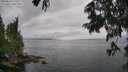 ./images/koeye/fitz-hugh/20250626/fitz-hugh20250626_170510M.jpg