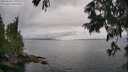 ./images/koeye/fitz-hugh/20250626/fitz-hugh20250626_171009M.jpg