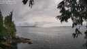 ./images/koeye/fitz-hugh/20250626/fitz-hugh20250626_172008M.jpg