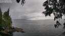 ./images/koeye/fitz-hugh/20250626/fitz-hugh20250626_173510M.jpg