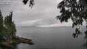 ./images/koeye/fitz-hugh/20250626/fitz-hugh20250626_175510M.jpg