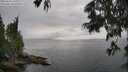 ./images/koeye/fitz-hugh/20250626/fitz-hugh20250626_180009M.jpg
