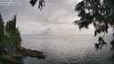 ./images/koeye/fitz-hugh/20250626/fitz-hugh20250626_181010M.jpg