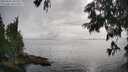 ./images/koeye/fitz-hugh/20250626/fitz-hugh20250626_181510M.jpg