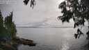 ./images/koeye/fitz-hugh/20250626/fitz-hugh20250626_182510M.jpg