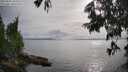 ./images/koeye/fitz-hugh/20250626/fitz-hugh20250626_183009M.jpg