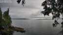 ./images/koeye/fitz-hugh/20250626/fitz-hugh20250626_184511M.jpg