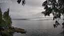 ./images/koeye/fitz-hugh/20250626/fitz-hugh20250626_185011M.jpg